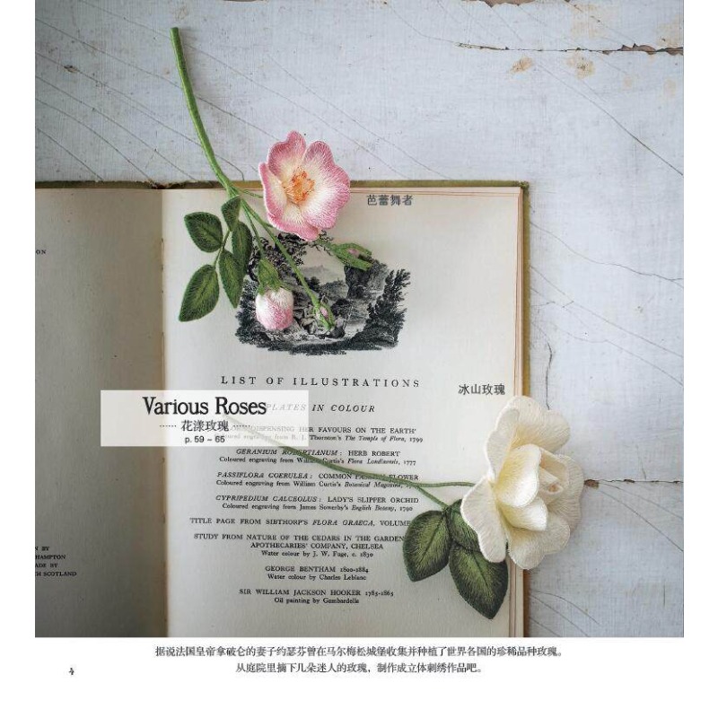 3D 스텀프워크 자수 책: 실물 같은 꽃과 14가지 액 - Embroidery Guide Book 리뷰 및 가격